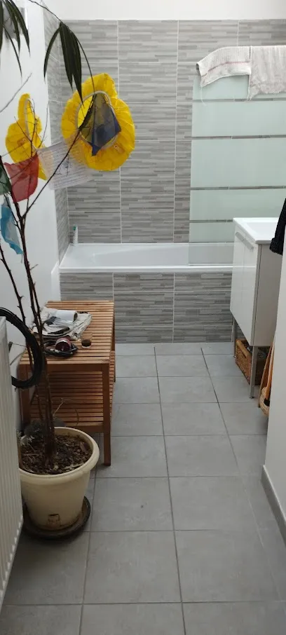 Image de RENOVATION SAINE